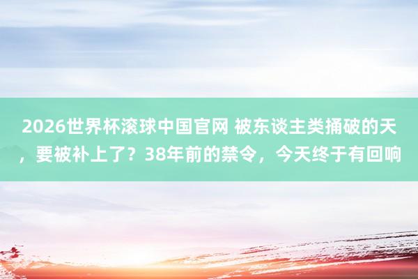 2026世界杯滚球中国官网 被东谈主类捅破的天,要被补上了?38年前的禁令,今天终于有回响