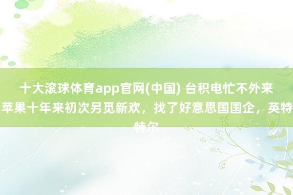 十大滚球体育app官网(中国) 台积电忙不外来，苹果十年来初次另觅新欢，找了好意思国国企，英特尔