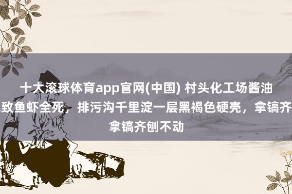 十大滚球体育app官网(中国) 村头化工场酱油色浑水致鱼虾全死,排污沟千里淀一层黑褐色硬壳,拿镐齐刨不动