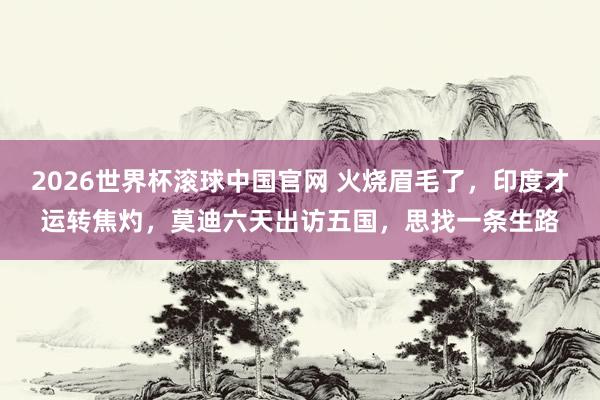 2026世界杯滚球中国官网 火烧眉毛了,印度才运转焦灼,莫迪六天出访五国,思找一条生路
