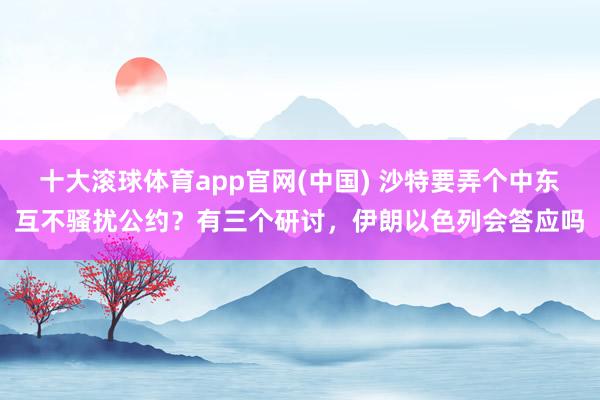 十大滚球体育app官网(中国) 沙特要弄个中东互不骚扰公约？有三个研讨，伊朗以色列会答应吗
