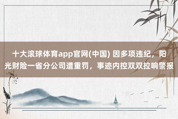 十大滚球体育app官网(中国) 因多项违纪,阳光财险一省分公司遭重罚,事迹内控双双拉响警报