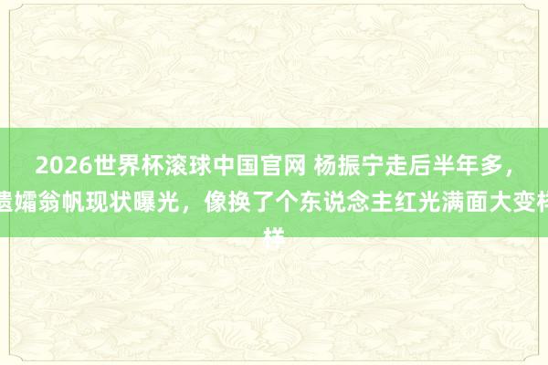 2026世界杯滚球中国官网 杨振宁走后半年多,遗孀翁帆现状曝光,像换了个东说念主红光满面大变样