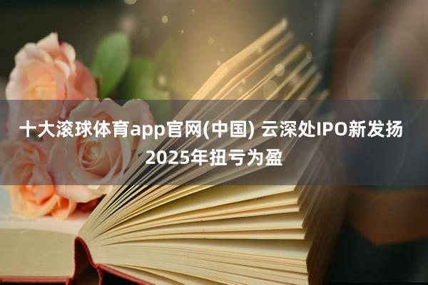 十大滚球体育app官网(中国) 云深处IPO新发扬 2025年扭亏为盈