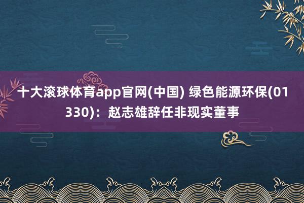 十大滚球体育app官网(中国) 绿色能源环保(01330):赵志雄辞任非现实董事