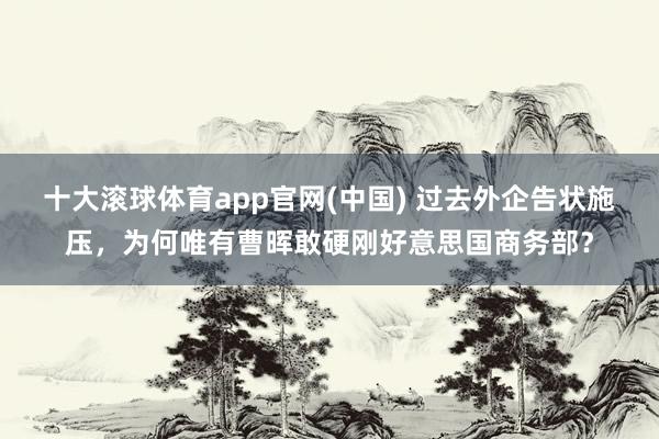 十大滚球体育app官网(中国) 过去外企告状施压,为何唯有曹晖敢硬刚好意思国商务部?