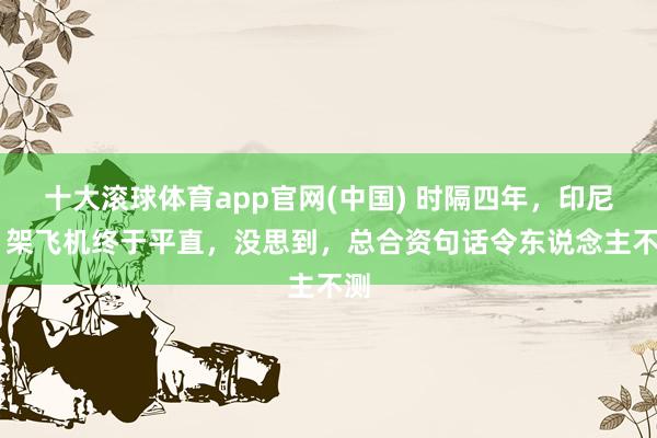 十大滚球体育app官网(中国) 时隔四年，印尼11架飞机终于平直，没思到，总合资句话令东说念主不测