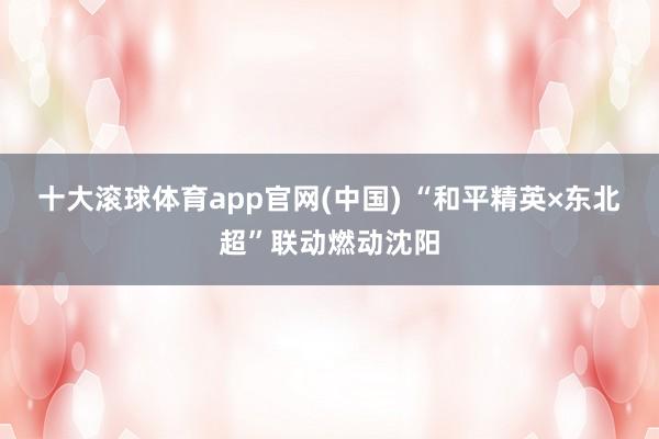 十大滚球体育app官网(中国) “和平精英×东北超”联动燃动沈阳