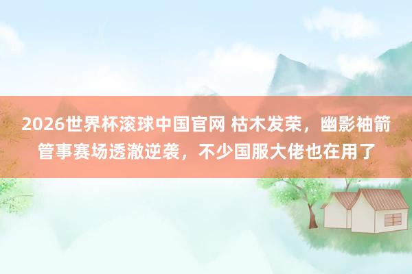 2026世界杯滚球中国官网 枯木发荣,幽影袖箭管事赛场透澈逆袭,不少国服大佬也在用了