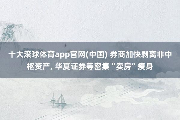 十大滚球体育app官网(中国) 券商加快剥离非中枢资产, 华夏证券等密集“卖房”瘦身