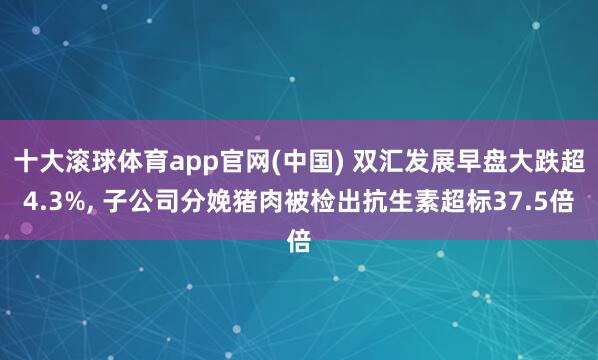 十大滚球体育app官网(中国) 双汇发展早盘大跌超4.3%, 子公司分娩猪肉被检出抗生素超标37.5倍