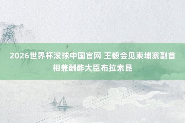 2026世界杯滚球中国官网 王毅会见柬埔寨副首相兼酬酢大臣布拉索昆