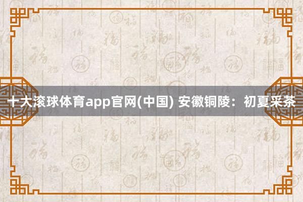 十大滚球体育app官网(中国) 安徽铜陵：初夏采茶