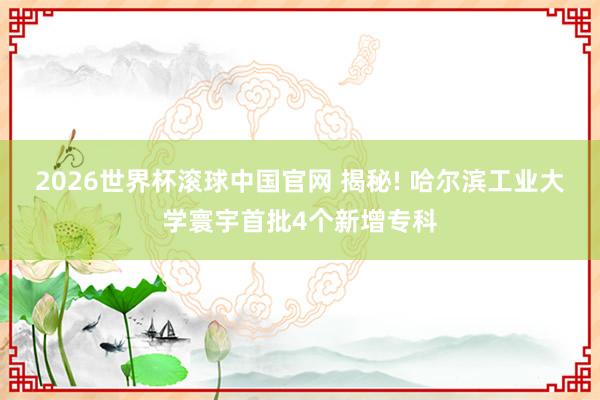 2026世界杯滚球中国官网 揭秘! 哈尔滨工业大学寰宇首批4个新增专科
