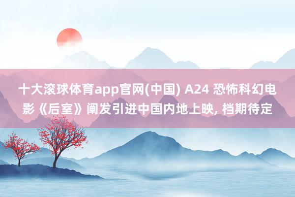 十大滚球体育app官网(中国) A24 恐怖科幻电影《后室》阐发引进中国内地上映， 档期待定
