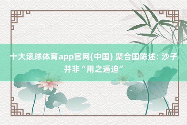十大滚球体育app官网(中国) 聚合国陈述: 沙子并非“用之逼迫”
