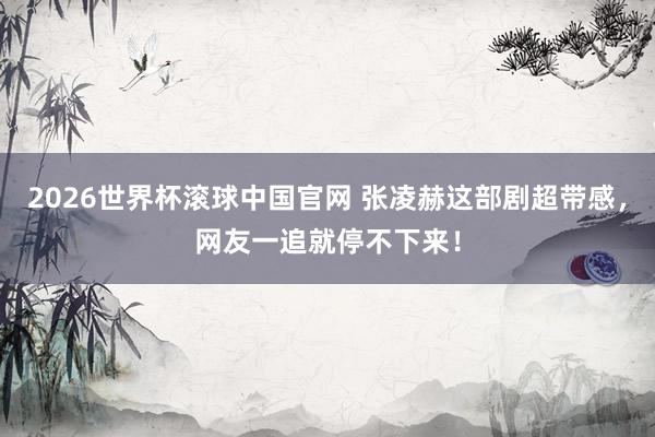 2026世界杯滚球中国官网 张凌赫这部剧超带感，网友一追就停不下来！