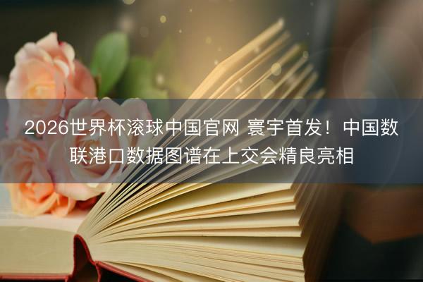 2026世界杯滚球中国官网 寰宇首发!中国数联港口数据图谱在上交会精良亮相