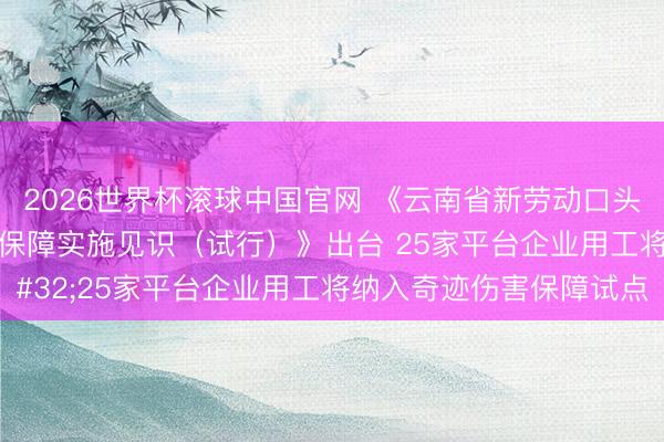 2026世界杯滚球中国官网 《云南省新劳动口头东说念主员奇迹伤害保障实施见识（试行）》出台 25家平台企业用工将纳入奇迹伤害保障试点