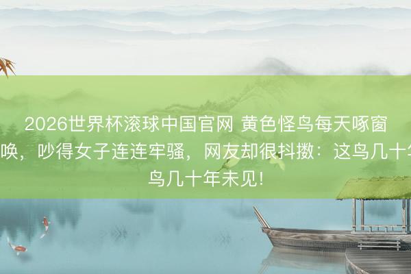 2026世界杯滚球中国官网 黄色怪鸟每天啄窗户还叫唤,吵得女子连连牢骚,网友却很抖擞:这鸟几十年未见!