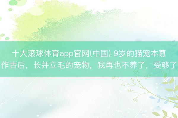 十大滚球体育app官网(中国) 9岁的猫宠本尊作古后,长并立毛的宠物,我再也不养了,受够了